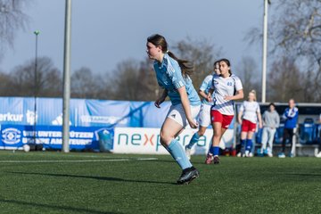 Bild 244 - F Hamburger SV 3 - Blau-Weiss 96 : Ergebnis: 5:1
